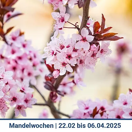 Apartment 1-3 Personen - Fahrradgarage - Zentrum - Kueche - Wlan - Klima
